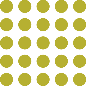 Spots Icon