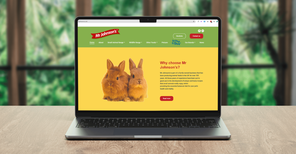 A new website for Mr Johnson’s